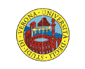 Università Degli Studi Di Verona